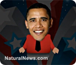 Re-Elect-President-Obama-2